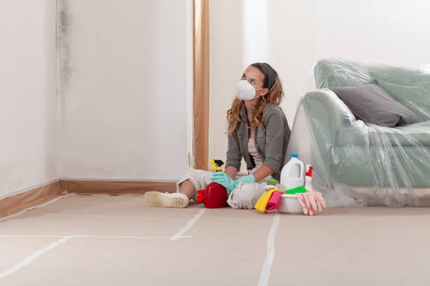 Reliable Mold Remediation contractor in Burnsville, MN by Mold Remediation HQ